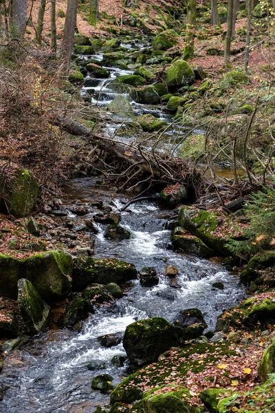 Vertikální Záběr Proudící Řeky Skal Uprostřed Lesa — Stock fotografie