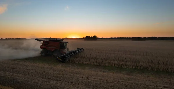 Combine Harvester Working Soybean Field Sunset Missouri — Stock Photo, Image