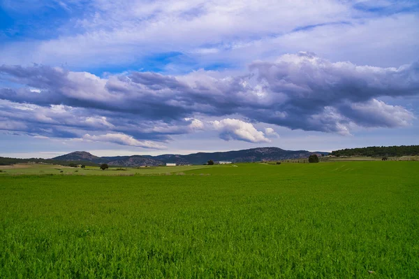 Una Hermosa Vista Campo Cultivado Bajo Cielo Nublado — Foto de Stock