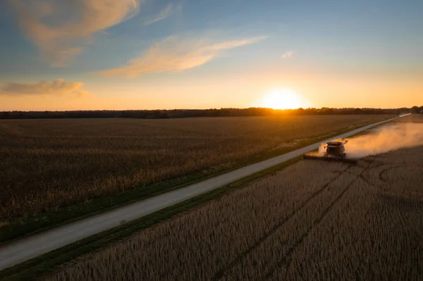 Combine Harvester Working Soybean Field Clear Sky Sunset Missouri — Stock Photo, Image