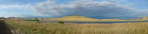 Панорамный Снимок Поля Сухой Травой — стоковое фото