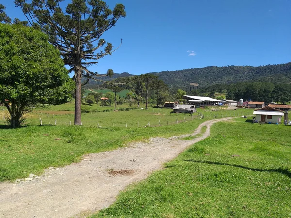 Una Splendida Vista Una Strada Sentiero Paesaggio Giardino Rurale Brasile — Foto Stock