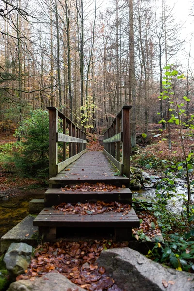 Vertical Shot Wooden Bridge Middle Forest — Stockfoto