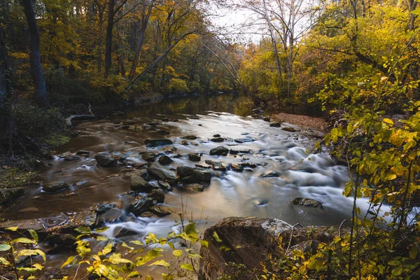 デラウェア州ニューアーク市ホワイトクレイクリーク州立公園の森の中を流れる川の景色 — ストック写真