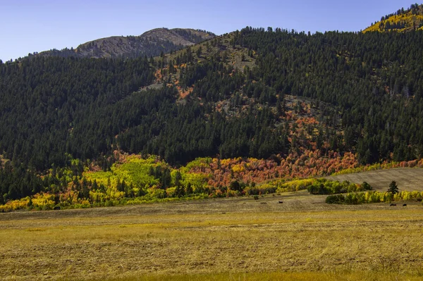 秋の晴れた日の畑や丘 — ストック写真