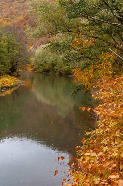 Ένα Κάθετο Πλάνο Ενός Ποταμού Που Αντανακλά Γύρω Φθινοπωρινή Φύση — Φωτογραφία Αρχείου