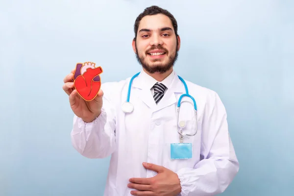 Médico Profesional Masculino Con Una Figura Humana Del Corazón Día — Foto de Stock