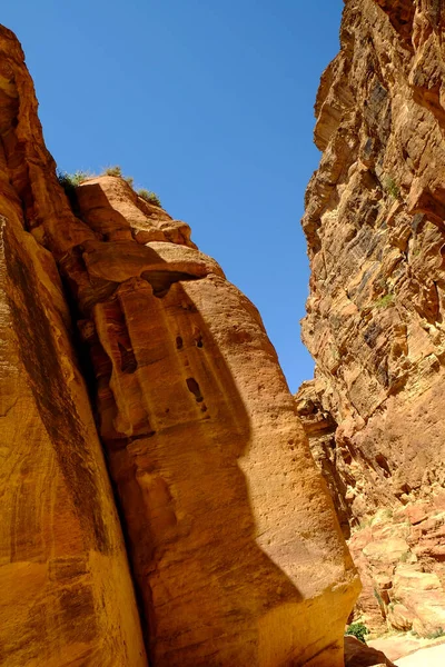 Eine Vertikale Aufnahme Faszinierender Geologischer Formationen Petra Jordanien — Stockfoto