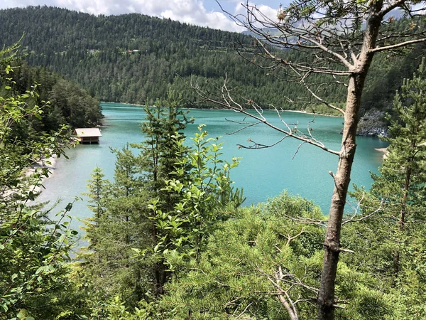 手前に木のある湖の空中風景 — ストック写真