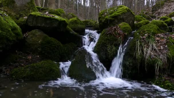 森の中の美しい滝 — ストック動画
