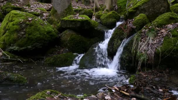 Hermosa Cascada Bosque — Vídeos de Stock