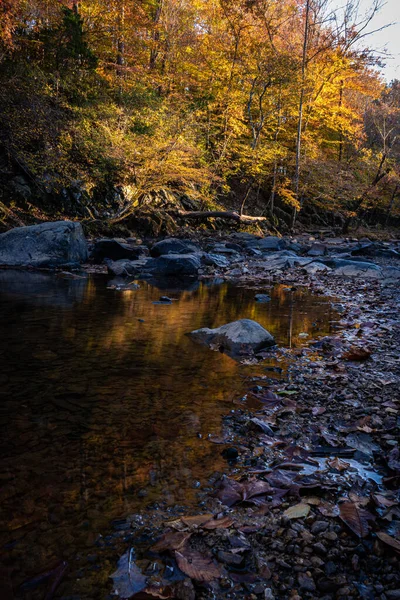 Krásný Podzimní Les Stromy Řekou — Stock fotografie