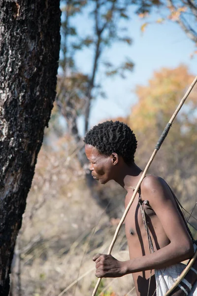 Калахари Намибия Сен 2016 Вертикальный Снимок Члена Народа Сан Бушмен — стоковое фото