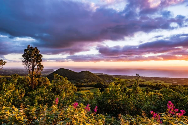 Een Kleurrijke Roze Zonsopgang Sainte Anne Les Hauts Reunion Frankrijk — Stockfoto