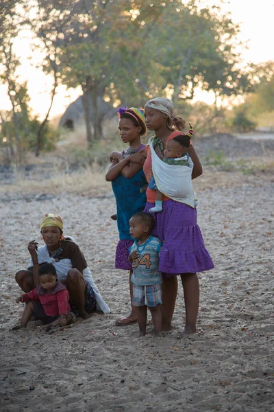 Калахари Намибия Октября 2016 Года Вертикальный Снимок Детей Народности Сан — стоковое фото