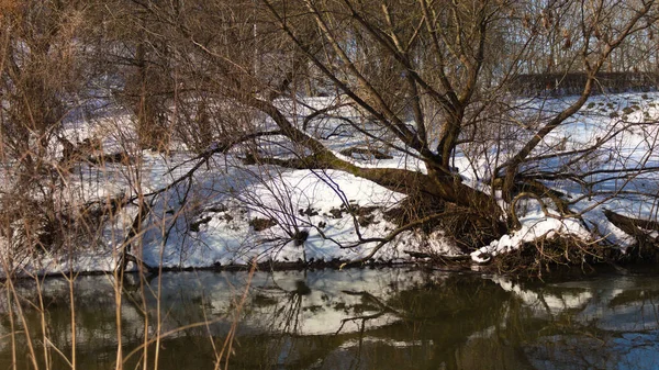 Ein Fluss Verschneiten Winterwald — Stockfoto