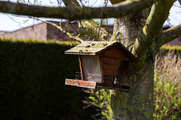 Una Casa Alimentadora Pájaros Madera Colgando Una Rama Contra Tronco —  Fotos de Stock