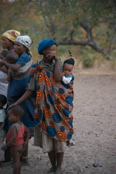 Калахари Намибия 2016 Вертикальный Снимок Народа Сан Бушмен Детьми Калахари — стоковое фото