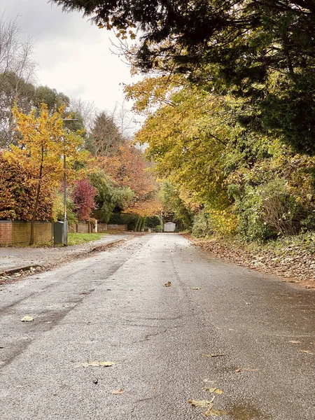 Ένας Δρόμος Και Πολύχρωμα Δέντρα Στο Eaton Park Norwich Ηνωμένο — Φωτογραφία Αρχείου