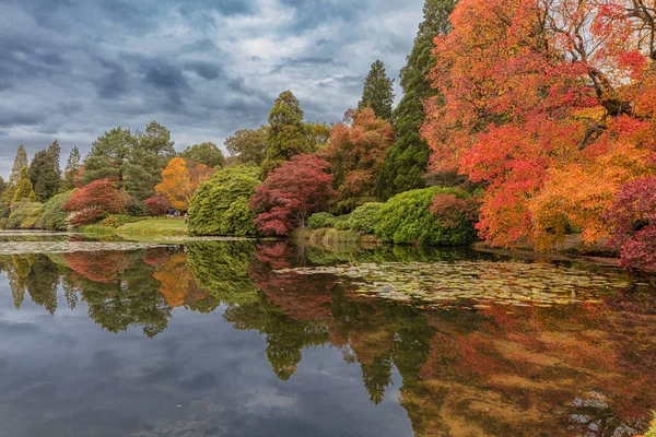 Natureza Outono Colorida Refletida Uma Lagoa Sheffield Park Garden Reino — Fotografia de Stock