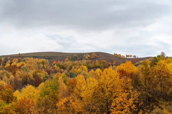 Colorful Autumn Trees Forest Hills Cloudy Sky Background — Stockfoto