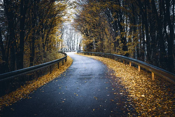 Empty Road Passing Autumn Forest — Foto Stock