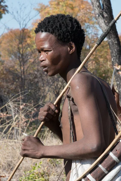 Kalahari Namibia Září 2016 Vertikální Záběr Člena San People Bushmen — Stock fotografie