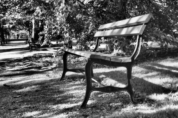 Une Échelle Gris Banc Vide Dans Jardin Automne — Photo