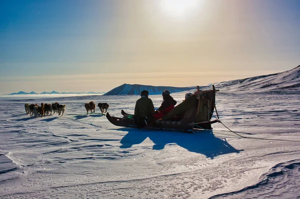 Una Vista Trasera Los Turistas Teniendo Paseo Trineo Perro Groenlandia —  Fotos de Stock