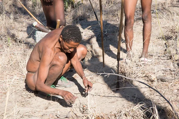 Kalahari Namibia Setembro 2016 Membro Sexo Masculino Povo San Bushmen — Fotografia de Stock