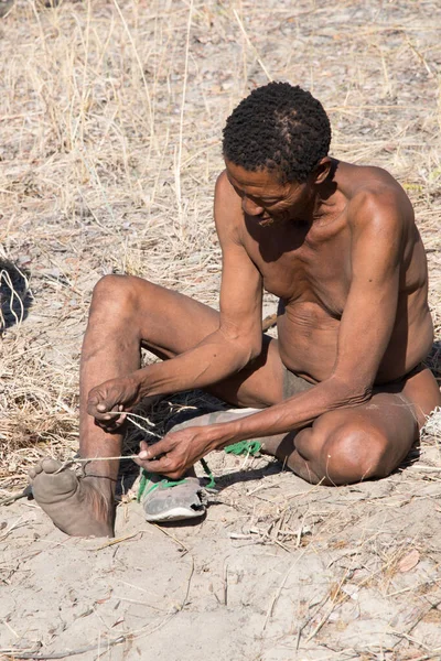 Kalahari Namibia Septiembre 2016 Disparo Vertical Miembro Del Pueblo San —  Fotos de Stock