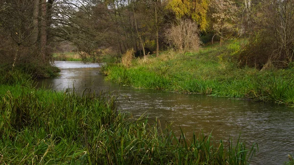 Een Rivier Een Herfstbos — Stockfoto