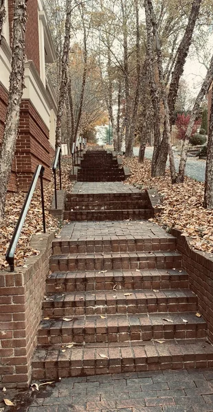 Vertical Shot Stairway Street Dried Leaves — Stock Photo, Image