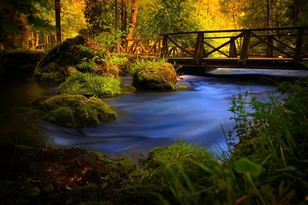 Utsikt Den Lille Broen Elven Skogen – stockfoto