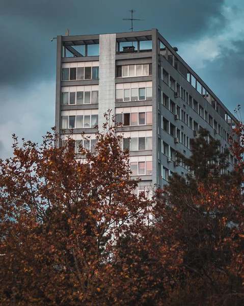 Ein Hochhaus Mit Fenstern Umgeben Von Bäumen Einem Düsteren Tag — Stockfoto