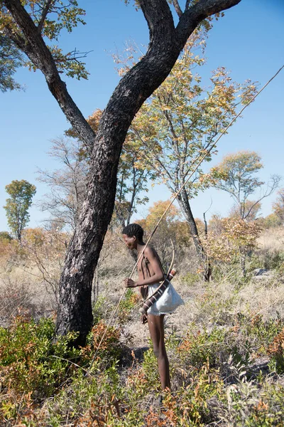 Kalahari Namibia Settembre 2016 Colpo Verticale Membro San People Bushmen — Foto Stock