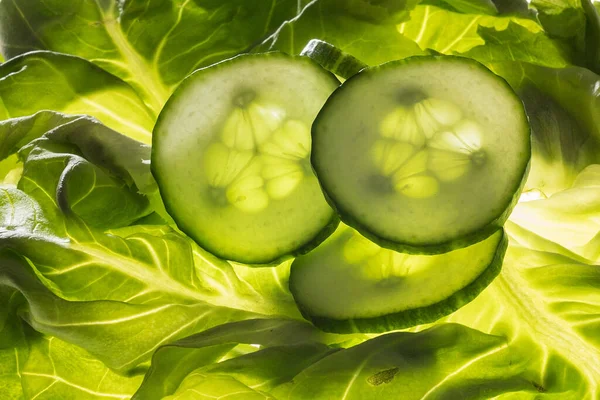 Closeup Shot Sliced Cucumbers Fresh Lettuce — Foto Stock