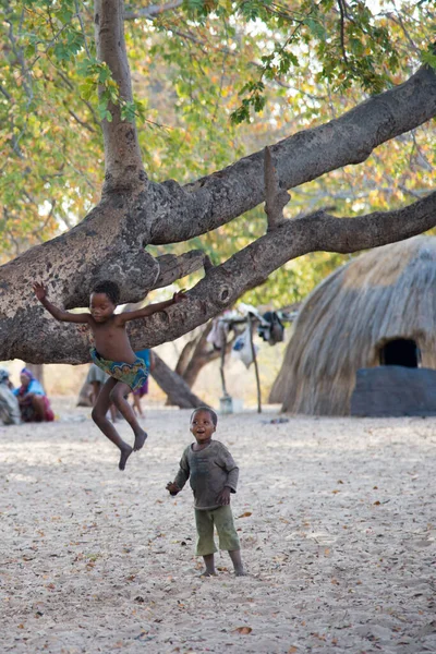 Kalahari Namibia Septiembre 2016 Disparo Vertical Niños San Bosquimanos Día — Foto de Stock