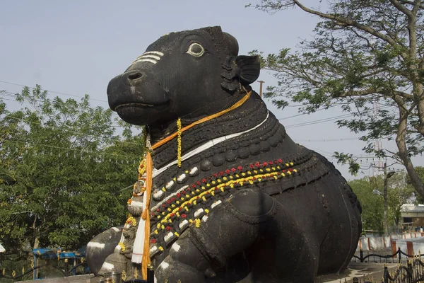 Chamundi Hills Mysore Karnanata Hindistan Asya Büyük Bir Stone Bull — Stok fotoğraf