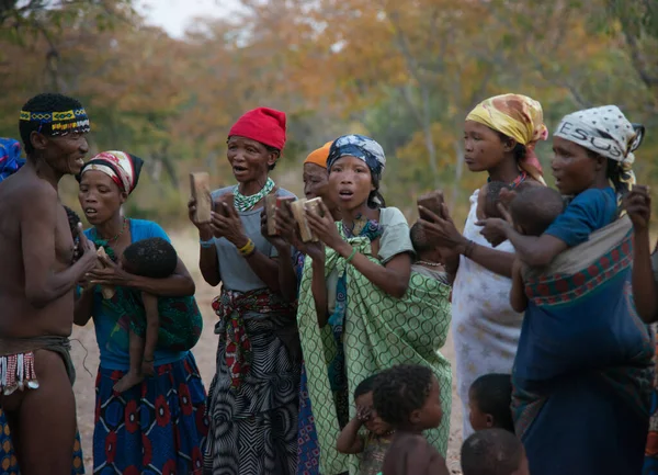 Kalahari Namibie Octobre 2016 Peuple San Bushmen Rassemblé Par Une — Photo