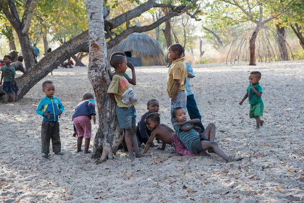 Калахари Намибия Сен 2016 Дети Народа Сан Бушмен Солнечный День — стоковое фото