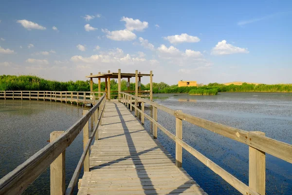Uma Paisagem Reserva Das Zonas Húmidas Azraque Cidade Azraq Deserto — Fotografia de Stock
