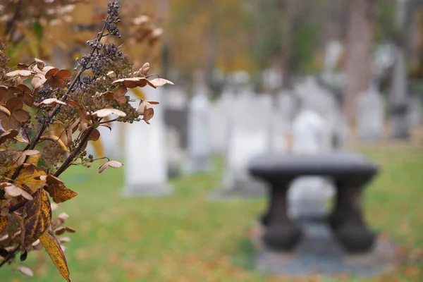 Sonbaharda Mezar Taşlarının Arka Planında Sonbahar Yapraklarının Yakın Çekimi — Stok fotoğraf