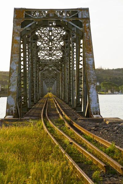 Vertikální Záběr Železničního Mostu Během Dne — Stock fotografie