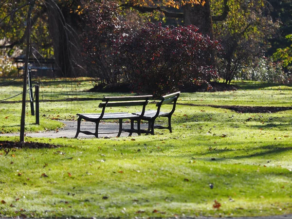 Una Hermosa Vista Bancos Vacíos Jardín Otoño —  Fotos de Stock