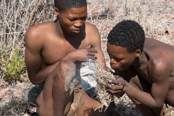 Kalahari Namibia Setembro 2016 Dois Membros Povo San Bushmen Tentando — Fotografia de Stock