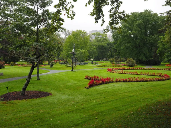 Vacker Utsikt Över Park Med Träd Och Blommor — Stockfoto