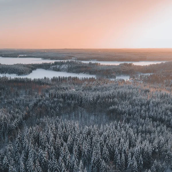 Aerial View Beautiful Winte Forests Finland — Fotografia de Stock