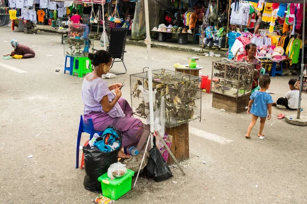 Yangon Myanmar Burma 2017 Augusztus Egy Burmai Thanakhával Arcán Madarakat — Stock Fotó