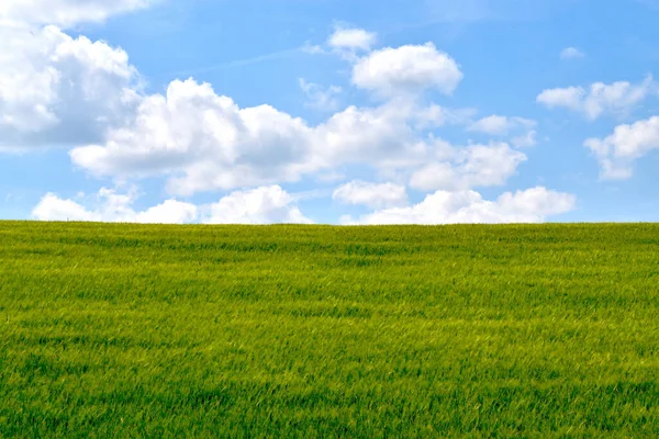 Campo Bajo Cielo Nublado Brillante Verano —  Fotos de Stock